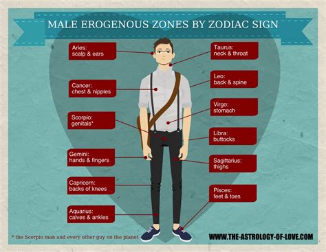 erogene zone man|Most Erogenous Zones On Your Mans Body 